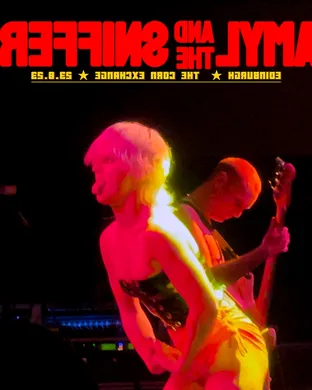 Amyl and The Sniffers Minneapolis