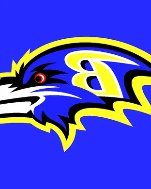 Baltimore Ravens Minneapolis
