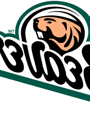 Bemidji State Beavers Football Saint Paul