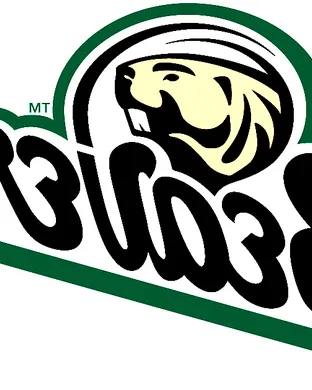 Bemidji State Beavers Saint Paul