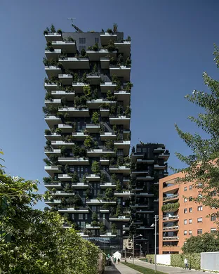 Bosco Minneapolis