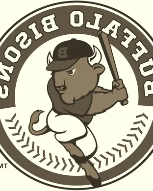 Buffalo Bisons Saint Paul