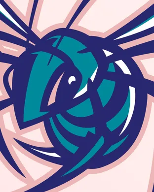 Charlotte Hornets Charlotte
