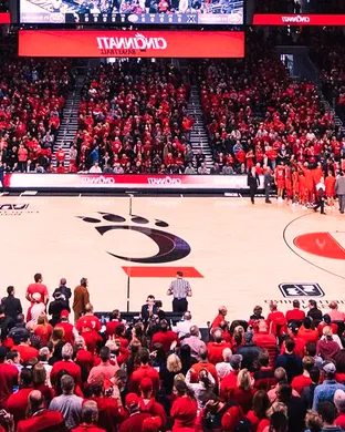 Cincinnati Bearcats Cincinnati