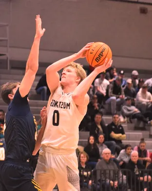 Concordia-st Paul Golden Bears Saint Paul