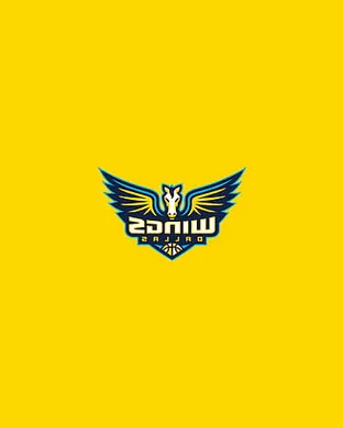 Dallas Wings Minneapolis