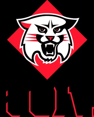 Davidson Wildcats Football Saint Paul