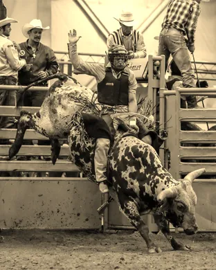 Douglas County Rodeo