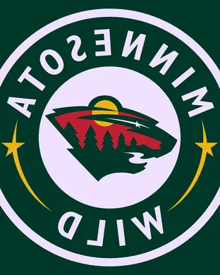 Minnesota Wild Saint Paul