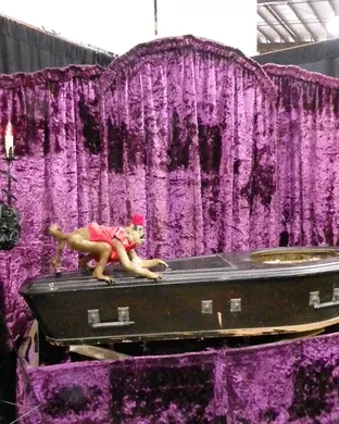 Oddities And Curiosities Expo Minneapolis