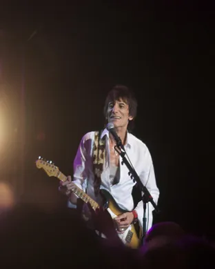 Ronnie Wood Lucca