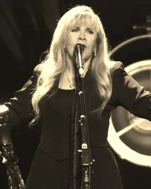 Stevie Nicks Saint Paul