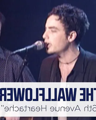 The Wallflowers Minneapolis