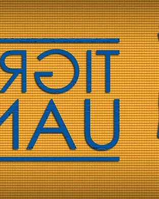 Tigres Uanl Saint Paul