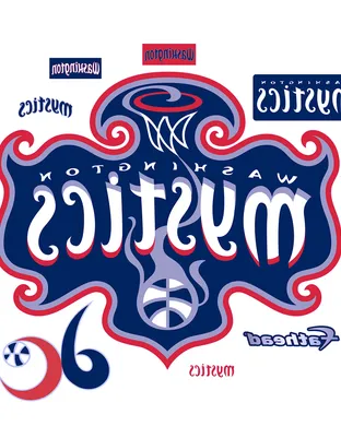 Washington Mystics Minneapolis