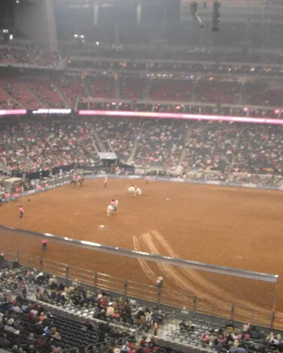 Minnesota Horse Expo Rodeo Saint Paul